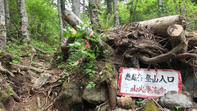 恵庭,ローカル,情報,ブログ