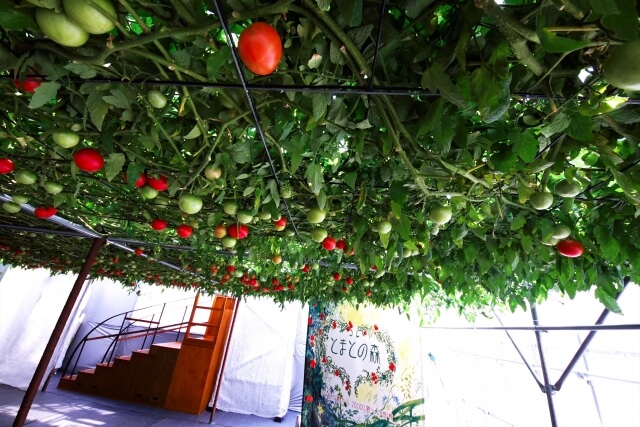 恵庭,ローカル,情報,ブログ